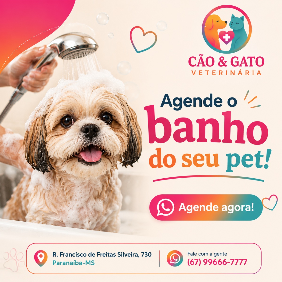 Banho e tosa da Cão & Gato Veterinária